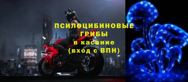 гашиш Богданович