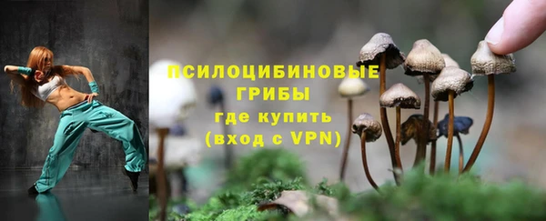 MDMA Premium VHQ Богородицк