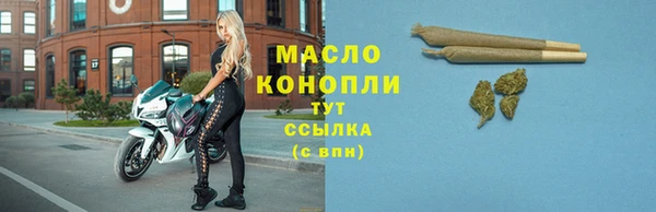 гашик Тайга