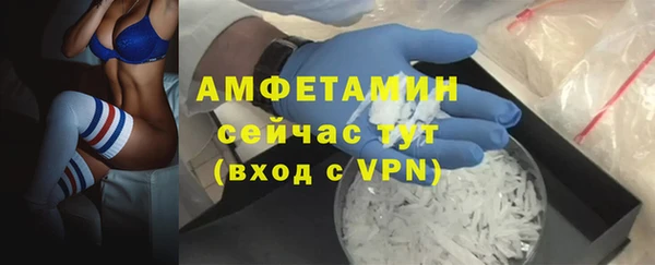 гидра Богородск