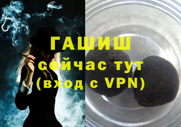 гидра Богородск