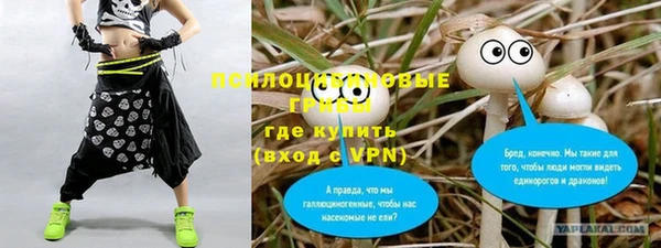 гашиш Богданович